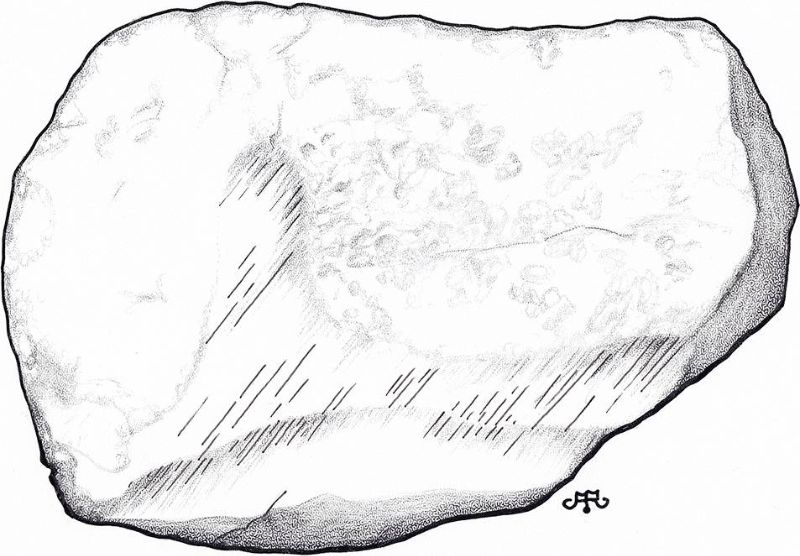 Abb. 4: Gletscherschrammen auf dem Schweden-Findling (Zeichnung: A. Richter)