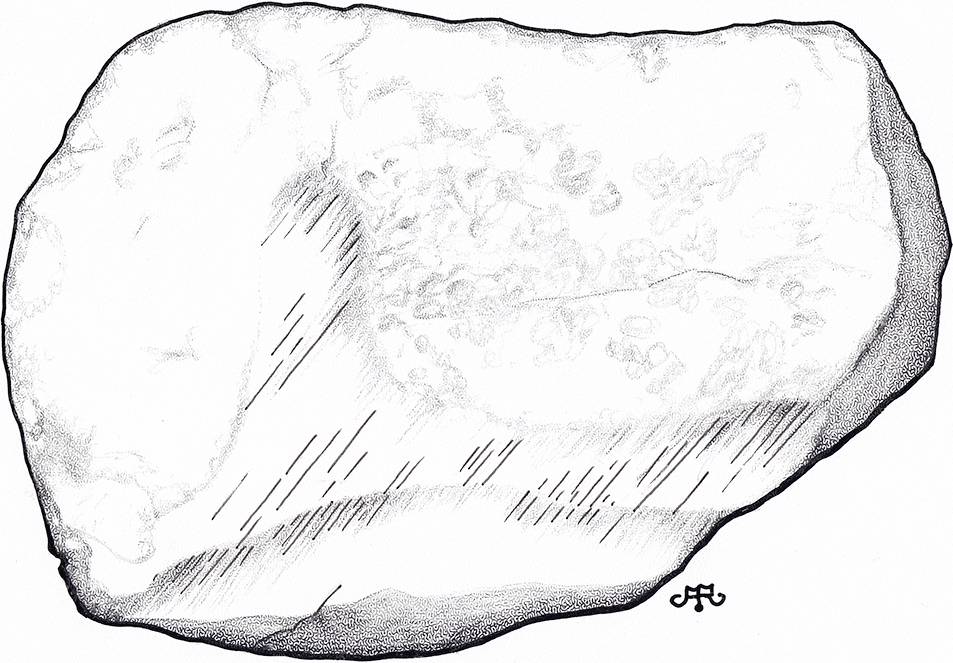 Abb. 4: Gletscherschrammen auf dem Schweden-Findling (Zeichnung: A. Richter)