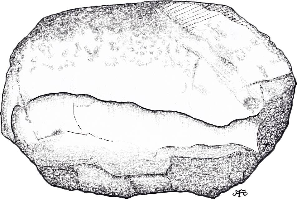 Abb. 5: Eine der vom Wind herauspräparierten Kanten auf dem Schweden-Findling (Zeichnung A. Richter)